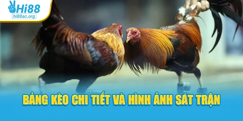 Bảng kèo chi tiết và hình ảnh sát trận
