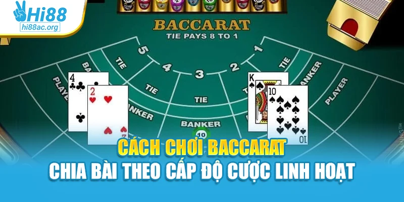 Cách chơi baccarat chia bài theo cấp độ cược linh hoạt
