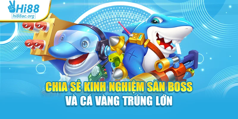 Chia sẻ kinh nghiệm săn boss và cá vàng trúng lớn