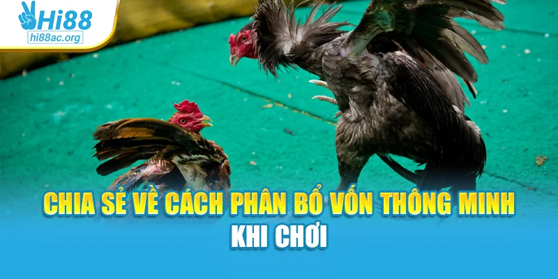 Chia sẻ về cách phân bổ vốn thông minh khi chơi