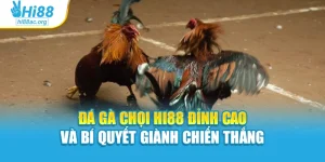Đá Gà Chọi Hi88 Đỉnh Cao Và Bí Quyết Giành Chiến Thắng
