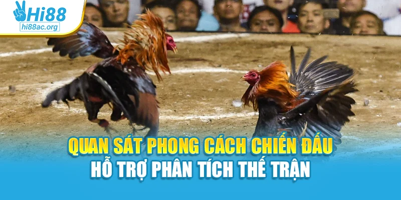 Quan sát phong cách chiến đấu hỗ trợ phân tích thế trận