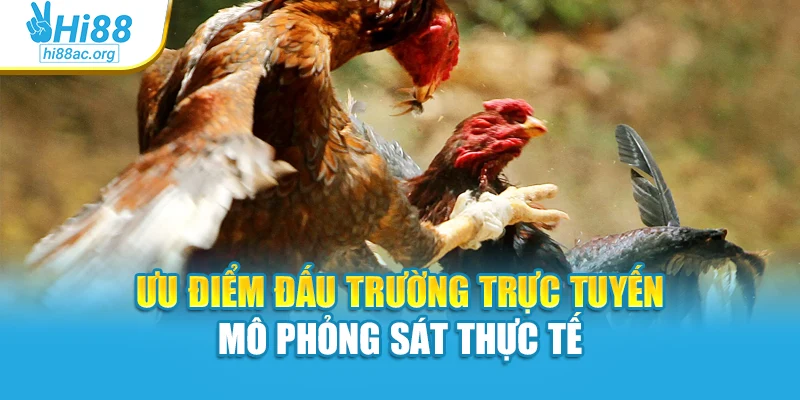 Ưu điểm đấu trường trực tuyến mô phỏng sát thực tế